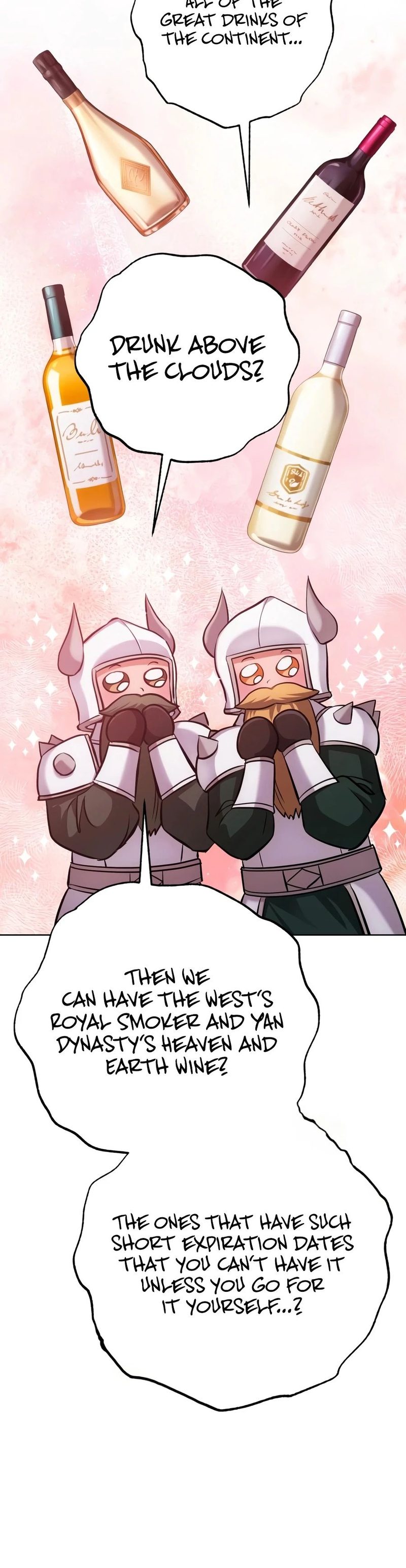 The Magic Tower’s Problem Child - Chapter 46 Page 27