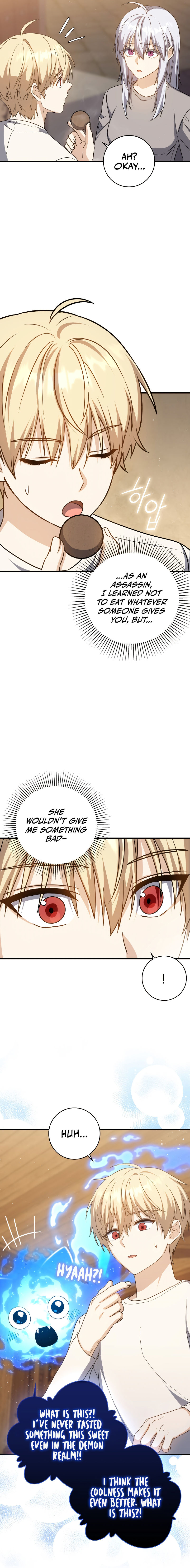 The Reincarnated Assassin is a Genius Swordsman - Chapter 19 Page 13