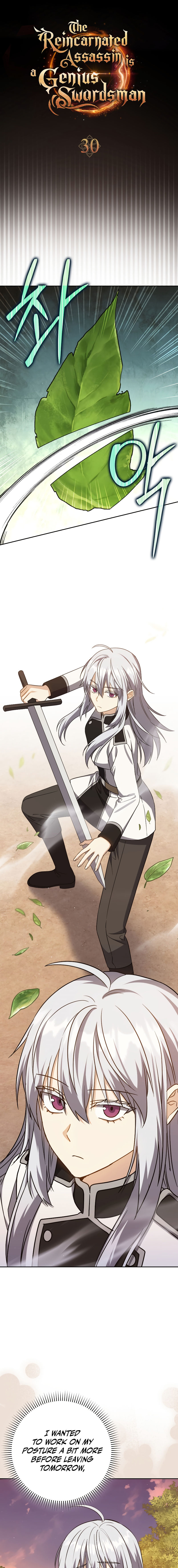 The Reincarnated Assassin is a Genius Swordsman - Chapter 30 Page 5