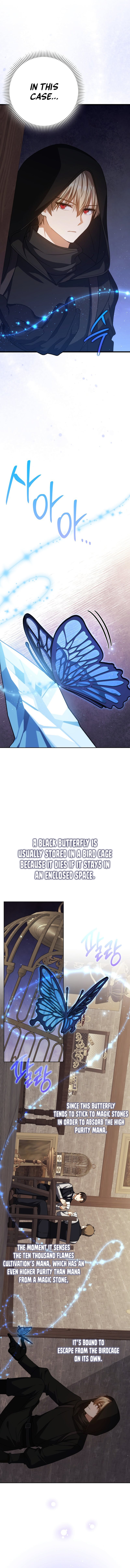 The Reincarnated Assassin is a Genius Swordsman - Chapter 59 Page 5