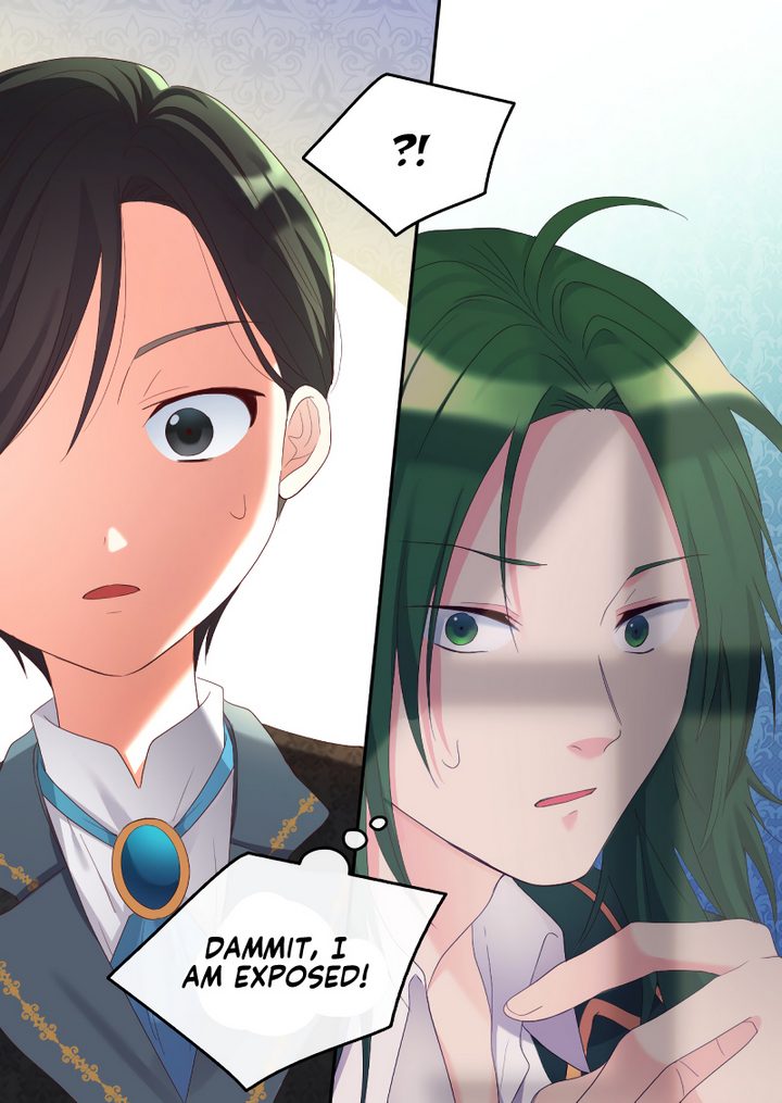 The Twin Siblings