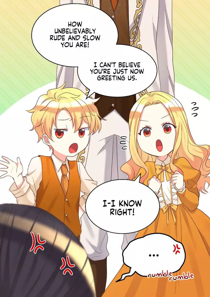 The Twin Siblings