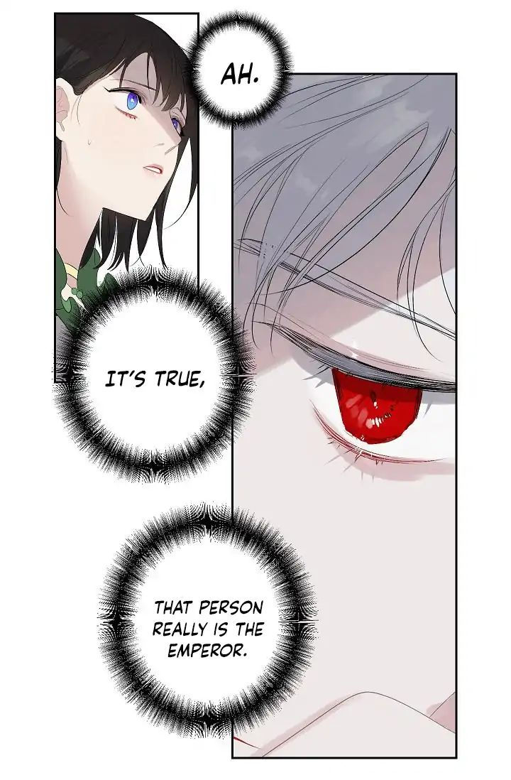 The Tyrant